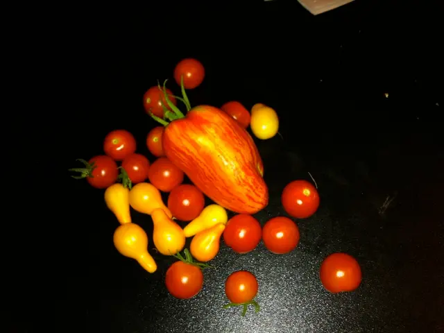 The Origin Story of Fruity Icons on Slot Machines