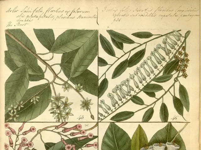 Rhode Island's Growing Regions - USDA's Map of Rhode Island's Planting Regions